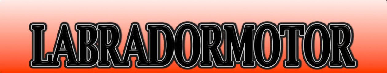 VÄLKOMMEN TILL LABRADORMOTOR!